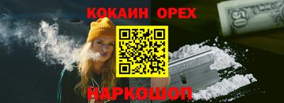 шишки Кандалакша