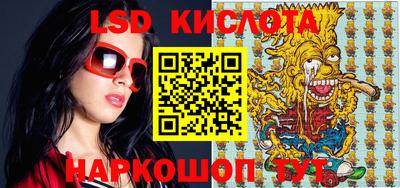 шишки Кандалакша