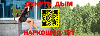 шишки Кандалакша