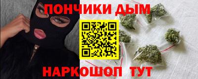 шишки Кандалакша