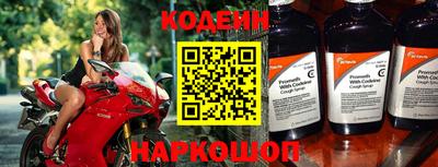 шишки Кандалакша