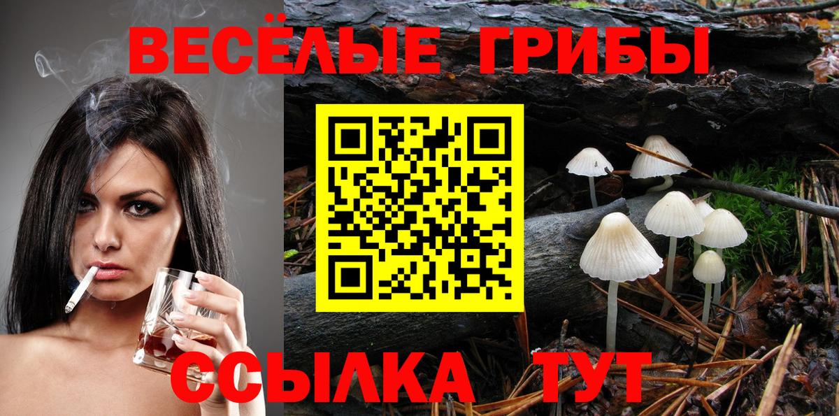 Псилоцибиновые грибы мицелий Курчатов