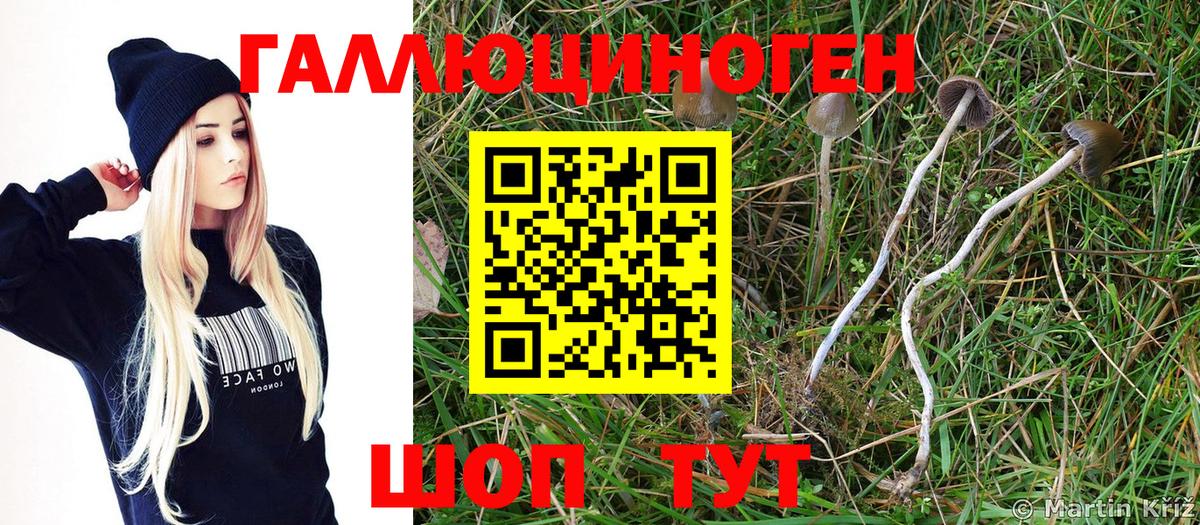 Псилоцибиновые грибы Magic Shrooms  Вход с VPN  Галлюциногенные грибы мицелий  Курчатов 