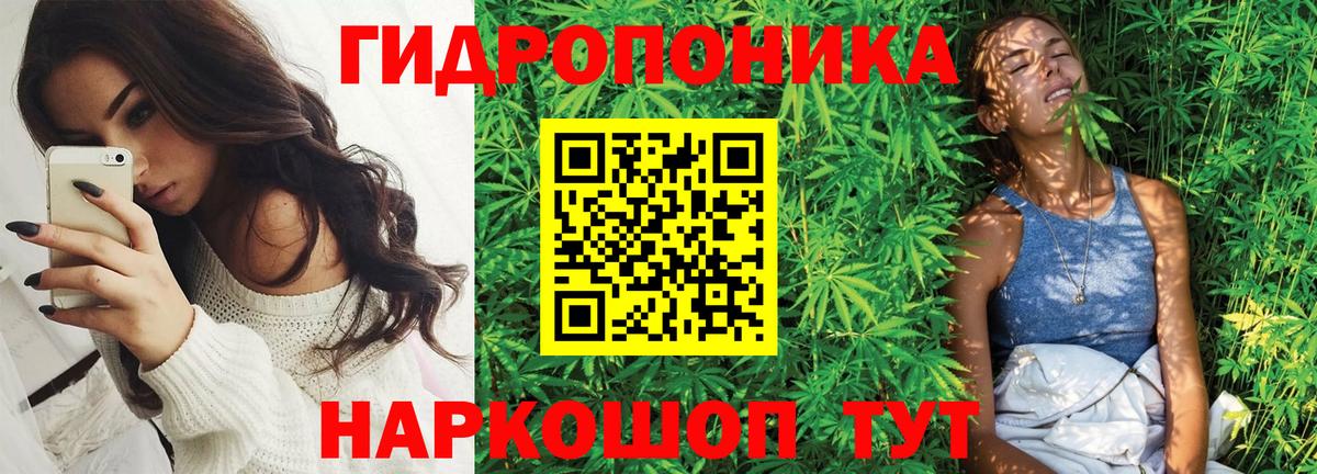 Марихуана Amnesia Курчатов